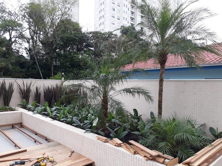 Paisagismo com palmeira e plantas tropicais em Santa Maria/RS