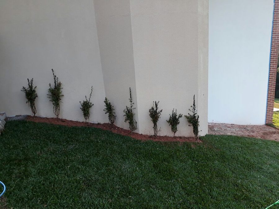 Resultado de jardim lateral em residência de Santa Maria/RS